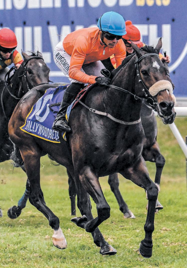 The US Of A could be the trump card