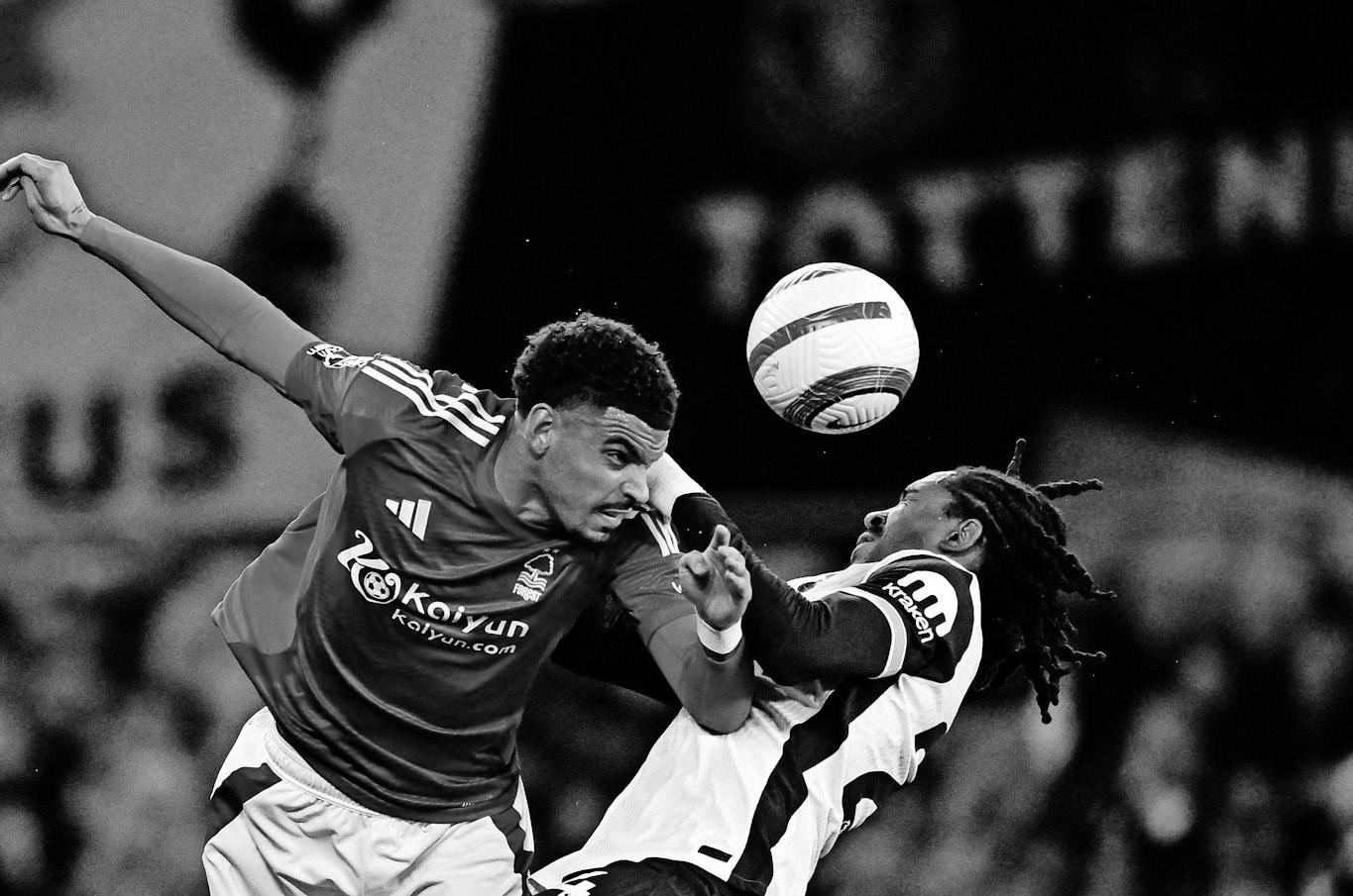 Forest not out of woods yet