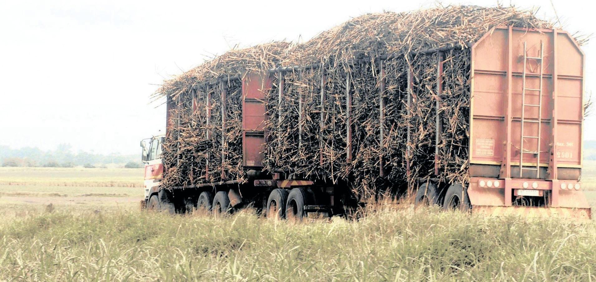 SA sugar industry set for improved harvest; yet tariff uncertainty threatens the sector's future