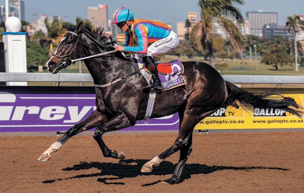 Solar Sail may have too much class