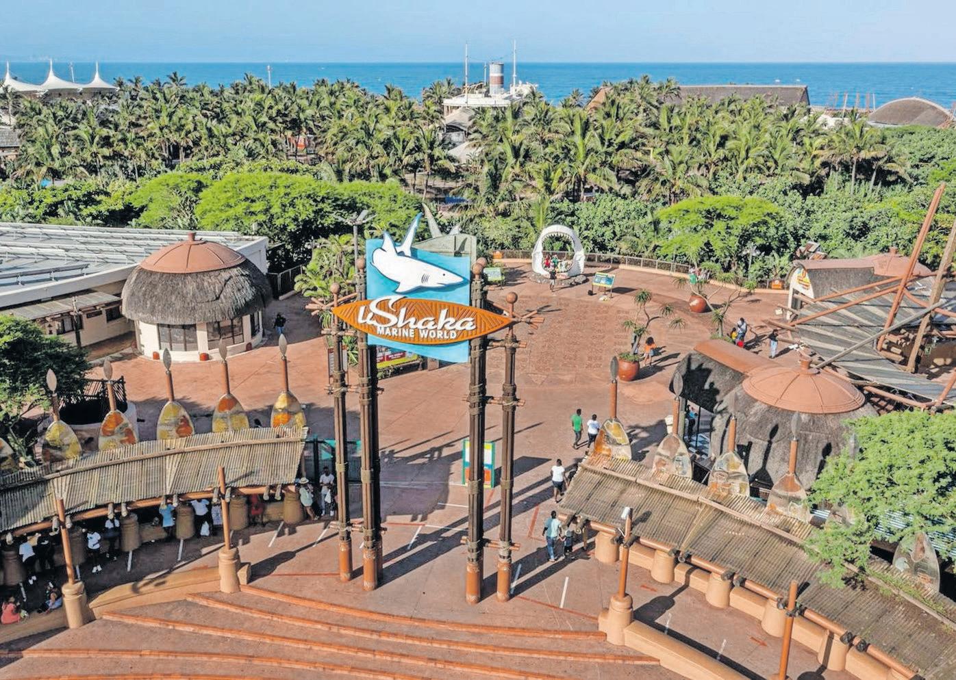 Operational overhaul mooted for uShaka Marine World