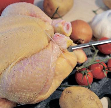 SA cannot afford any more delays to Brazil poultry imports by vet inspectors at the border