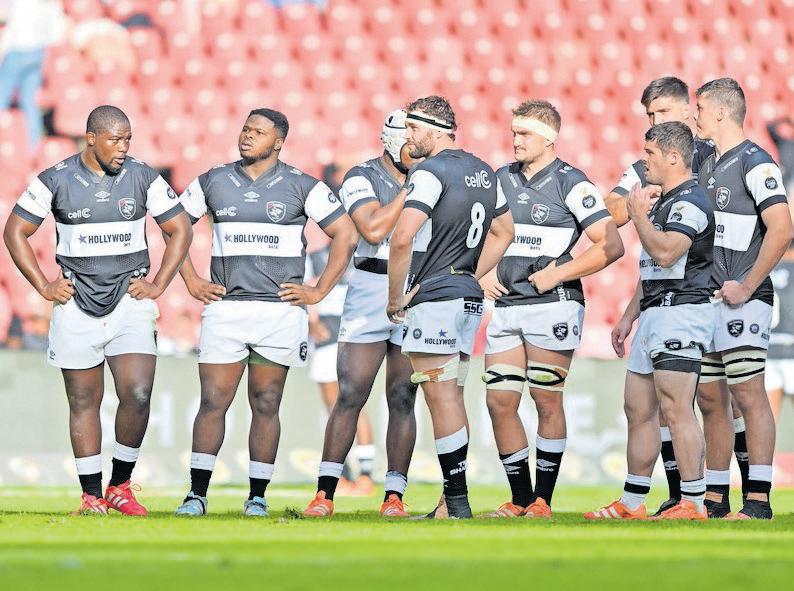 Pietersen praises resilience of Sharks' pups in close call against Cheetahs