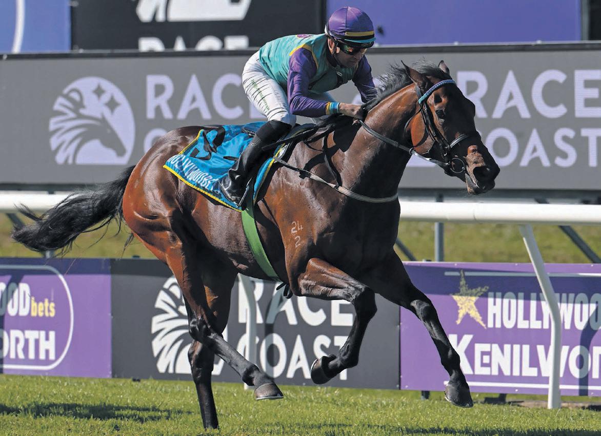 Take note of Wander Dune