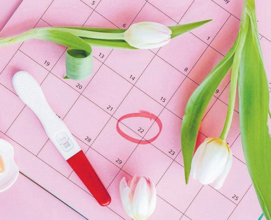 HORMONE JOURNEY TAME YOUR INNER HORMONE MONSTER: A GUIDE TO BEFRIENDING YOUR BODY'S MOQD SWINGS