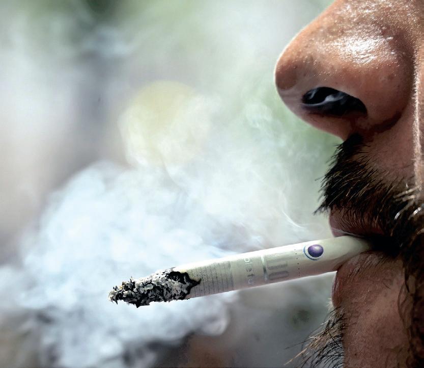 Philip Morris advocates harm reduction strategies in South Africa's Tobacco Bill debate