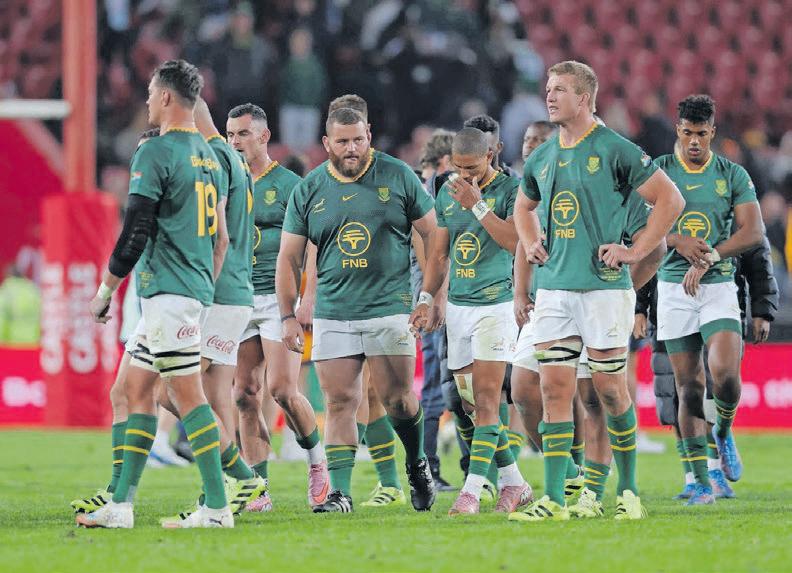 All Blacks loom large, but Argentina could be the real threat for Springboks