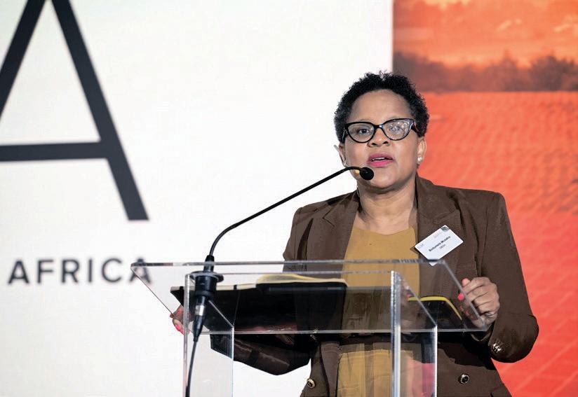 DBSA delivers record R5.3bn profit despite weak economy