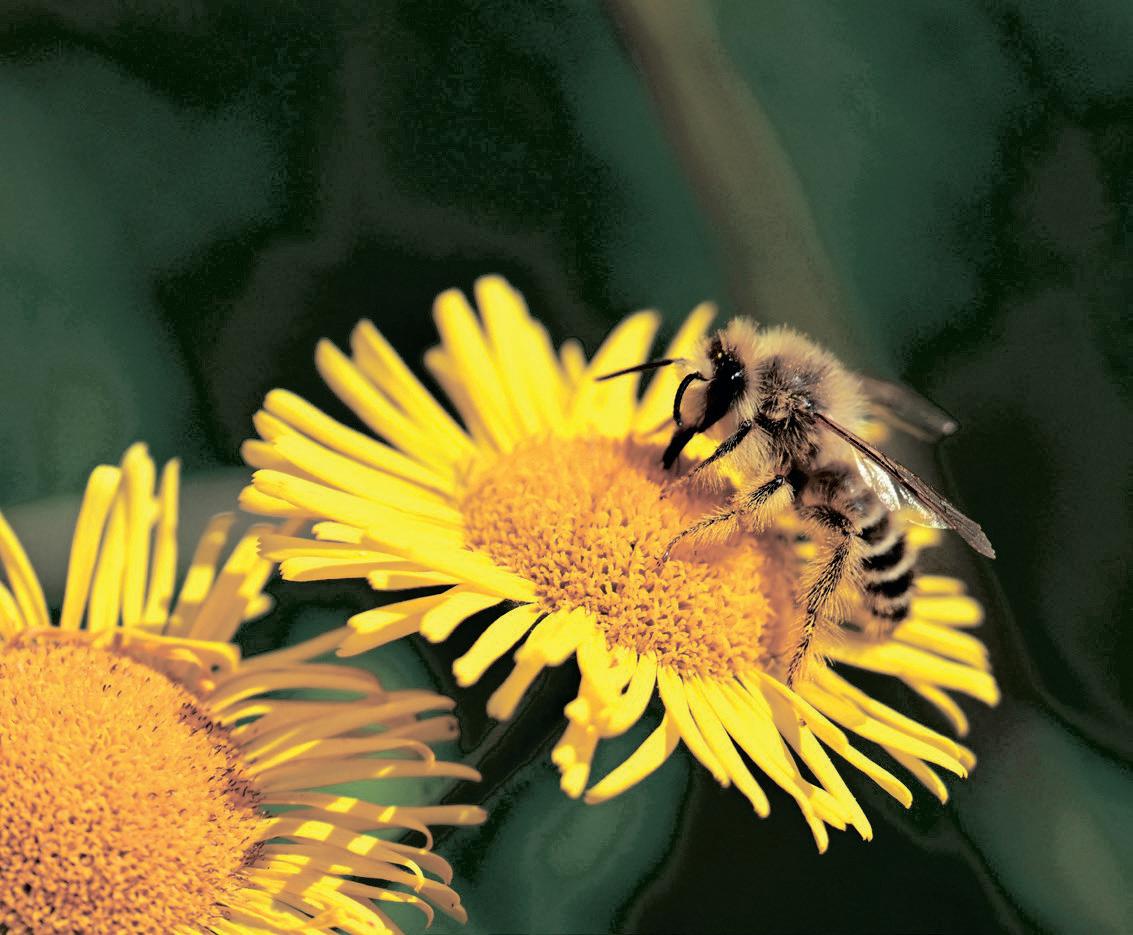 Dragging staff back to offices holds South Africa back