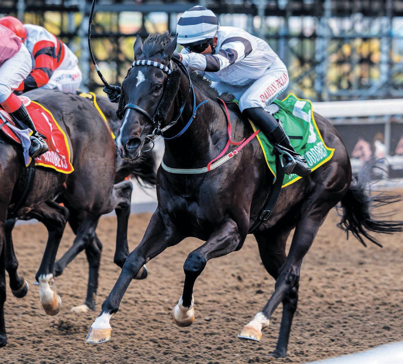 Danube to take command