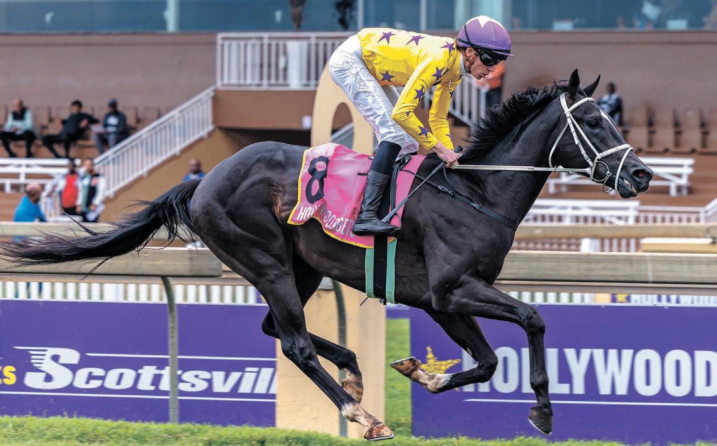 Buddy Boy is the punters friend