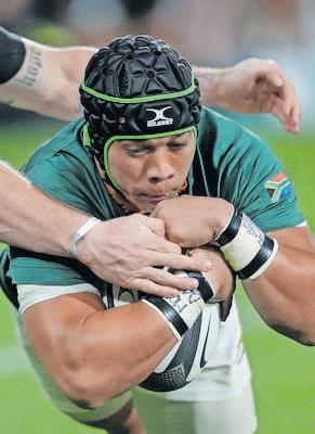 Springboks send warning shot ahead of Pumas Tests