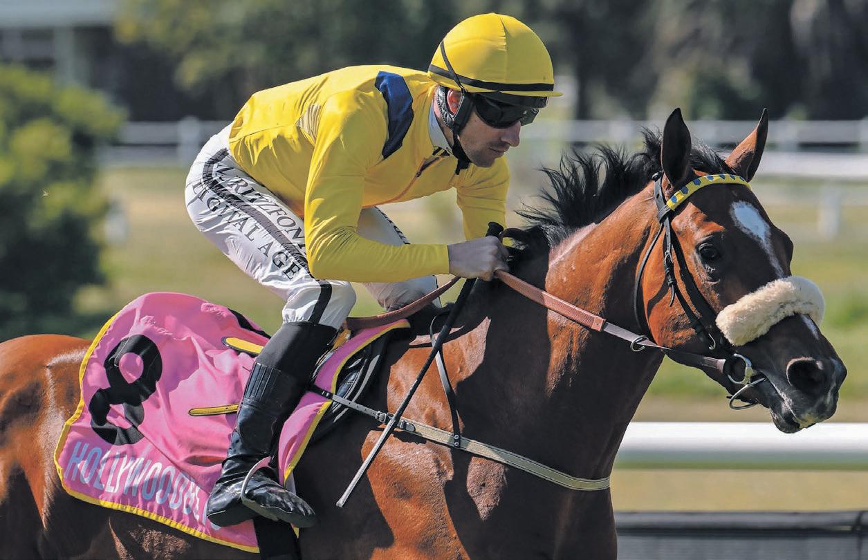 'Future' beckons for Kantor silks