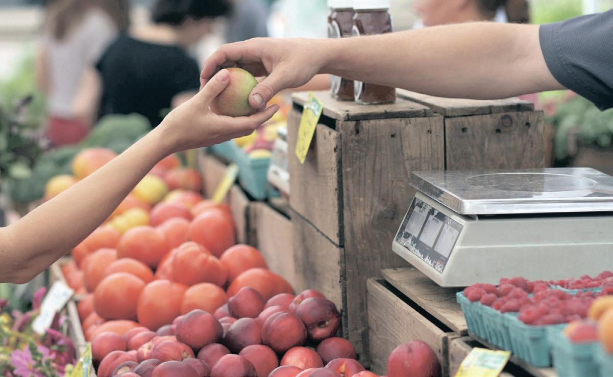 Agri industry welcomes food inflation cooling to 5.2% as outlook brightens