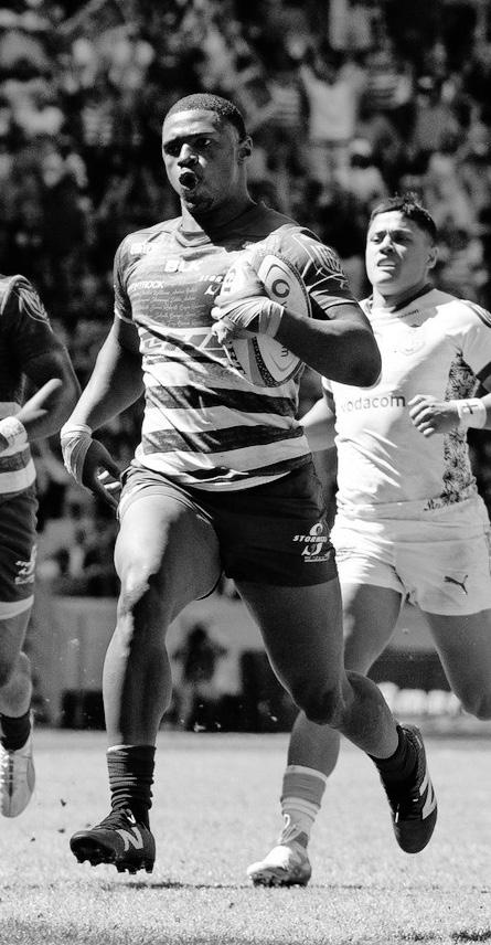 SA franchises ready to roar as new URC season kicks off