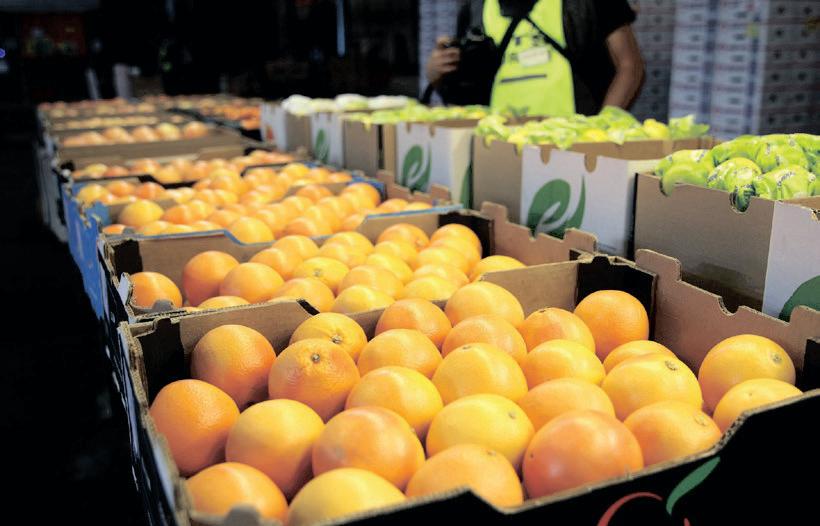 SA sees a 26% surge in agricultural exports to the US amidst tariff concerns