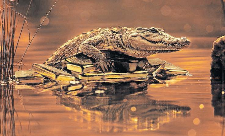 Gold glitters for Zimbabwean luxury crocodile skins supplier, Padenga