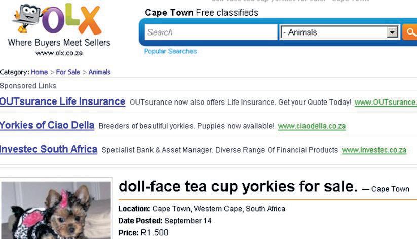OLX enters Western European vehicle classified market
