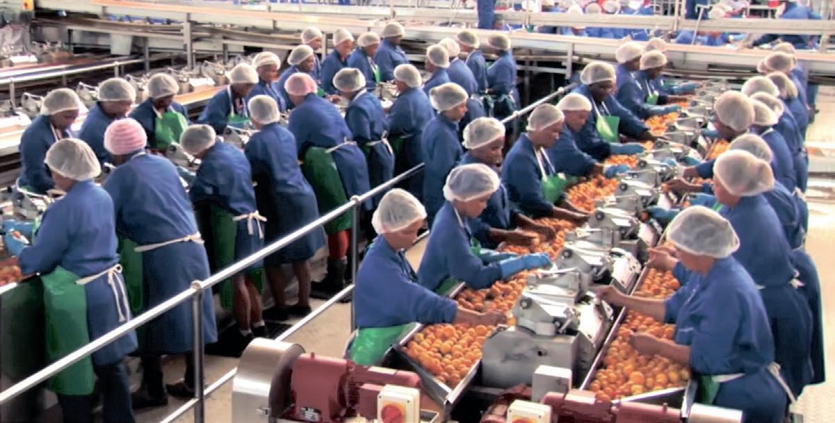Tiger Brands finalises sale of Langeberg and Ashton Foods, safeguarding 3 000 jobs