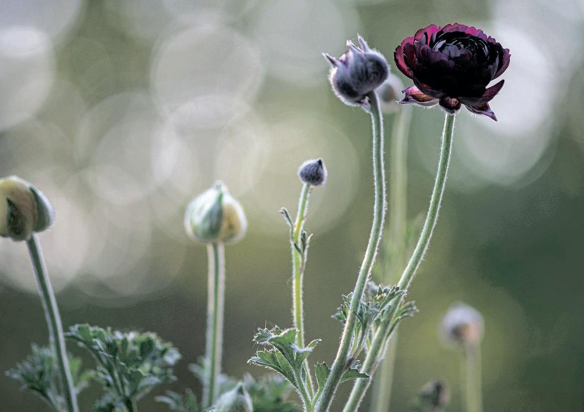 A time for renewal: How SMEs can streamline processes for a more seamless operation