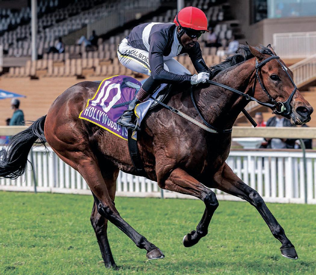 Hierarchy to rule the roost