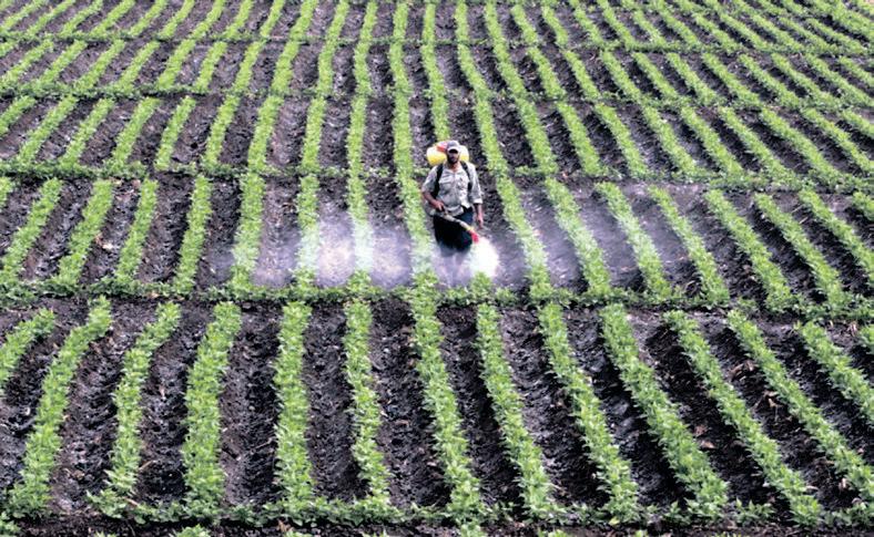 Department of Agriculture to fully digitise pesticide registration by 2026