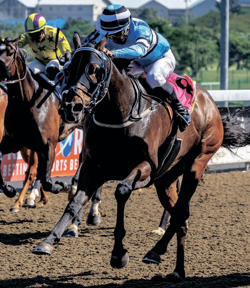 Rollo The Viking plunders the spoils