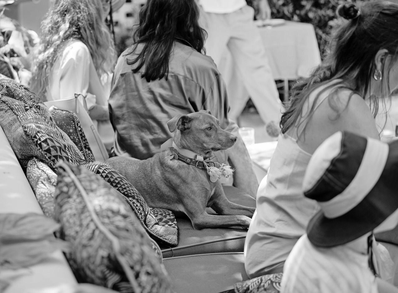 Societal control is masked as pandemic preparedness