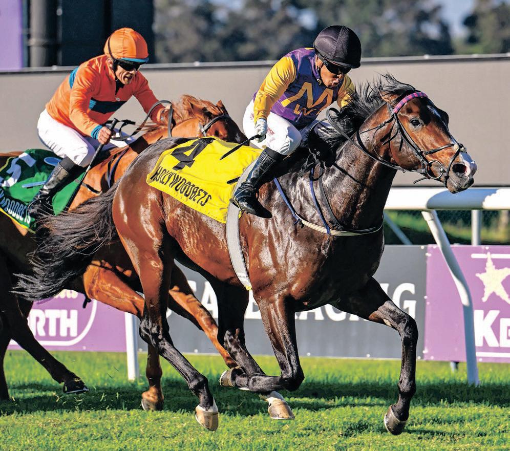 Arctic Wizard to wave his wand