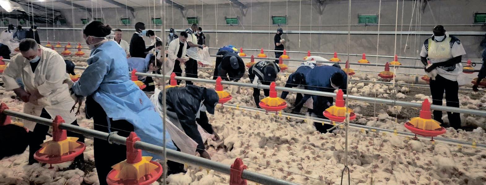 PIC hails Daybreak Foods as a model for business rescue success amid turnaround progress