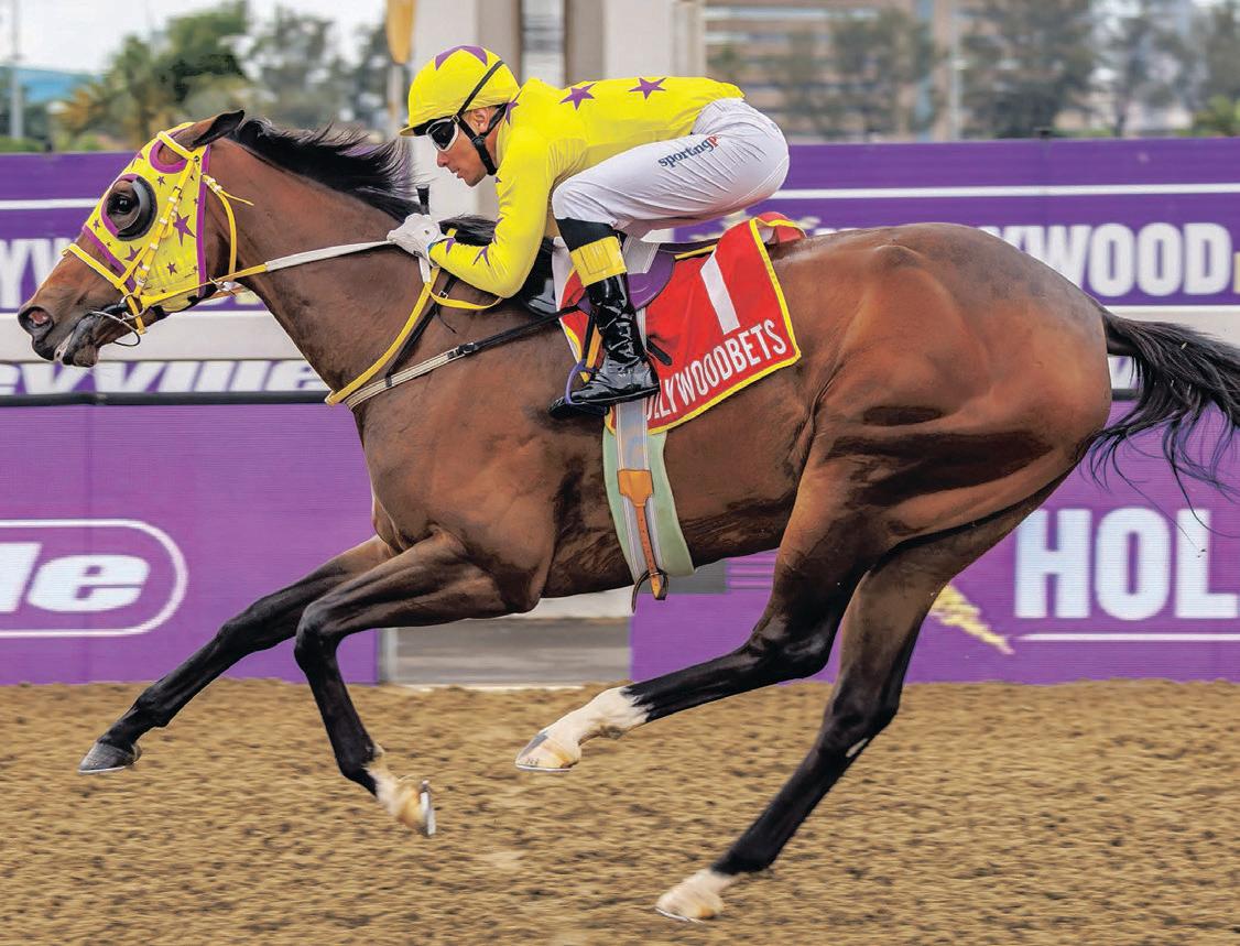 Spinmyangelssspin has them in a twist