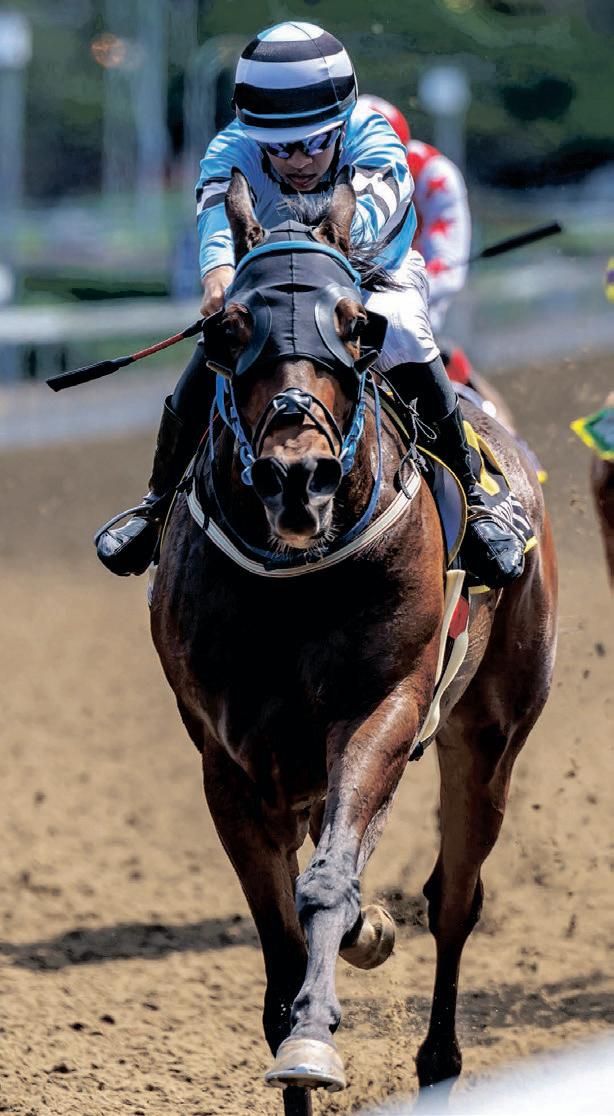 Rollo The Viking plunders the spoils