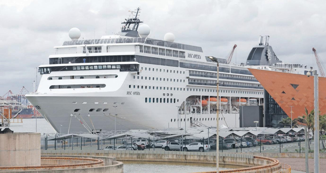 SAPS CFO Dimpane disputes Mchunu's use of her note on task team