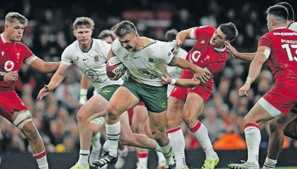Andre the Hybrid shines as Springboks complete unbeaten tour