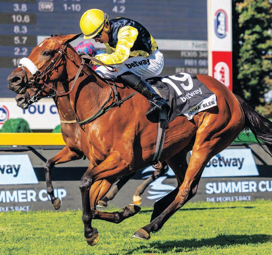 Mocha Blend was the right mix