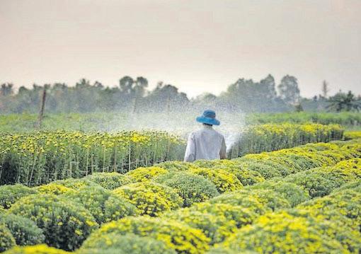 NEW RESEARCH LINKS PESTICIDES TO SERIOUS BRAIN DEVELOPMENT ISSUES IN SA