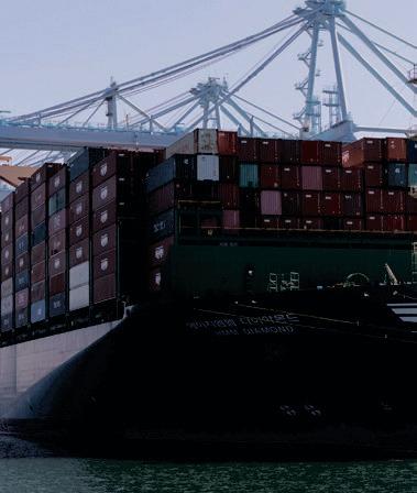 Global growth faces durability risks into 2026, UN agency says