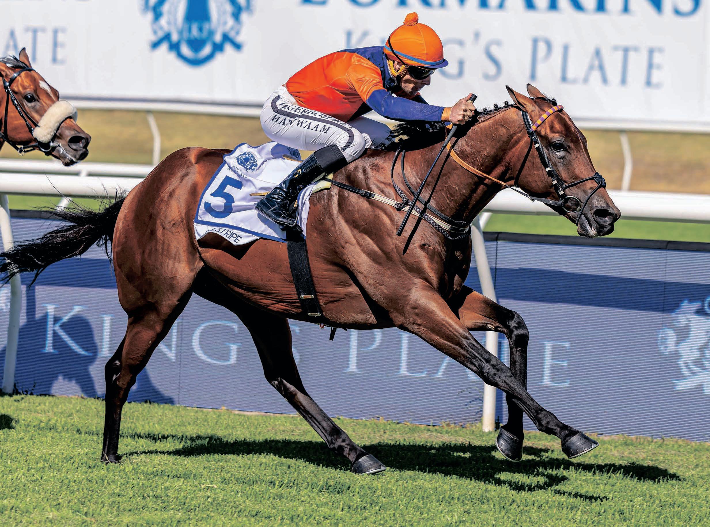 Lerena's One Stripe invite