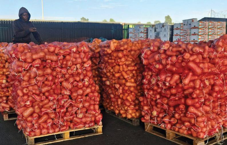 Currency volatility squeezes fruit importers as foreign exchange risks erode margins