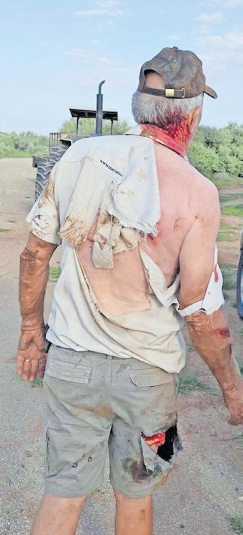 Veteran wildlife vet survives brutal Gemsbok attack