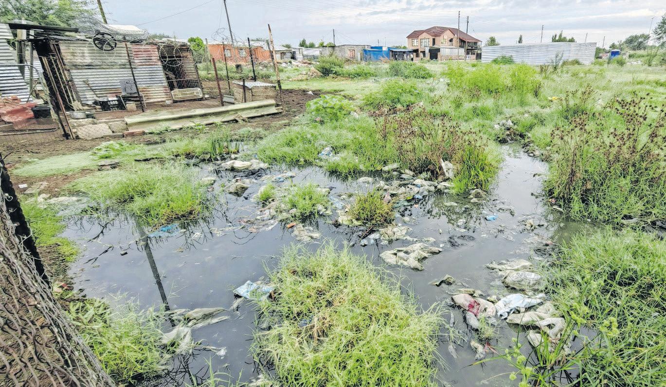 ‘We're living a sewage nightmare’