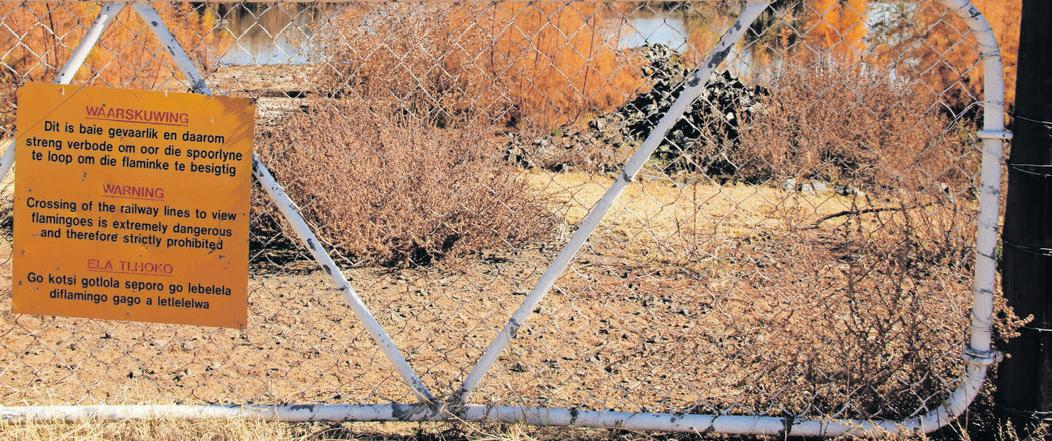 Consortium offers a lifeline to help save Kamfers Dam