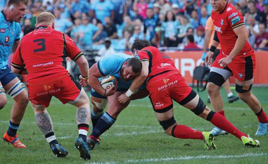 BULLS & SHARKS WIN