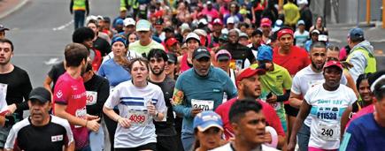 Falling tree kills runner