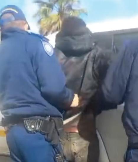 BUGGY BANDIETE BUSTED