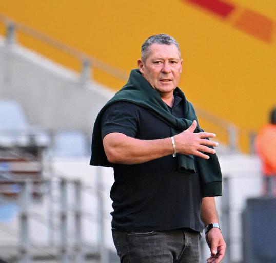 STELLIES UP FOR AWARDS