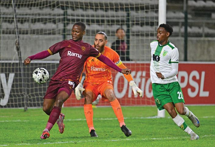 Moloisane: Stellies can be jitz again