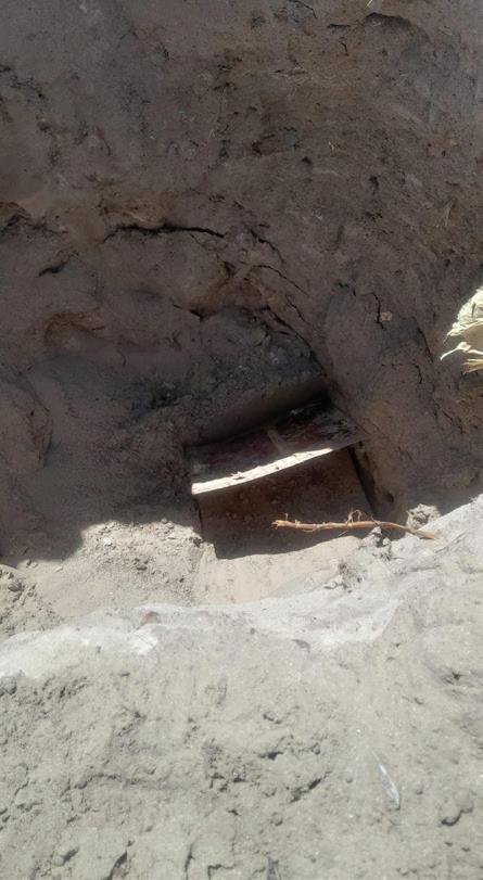 OUMA'S GRAVE ROBBED