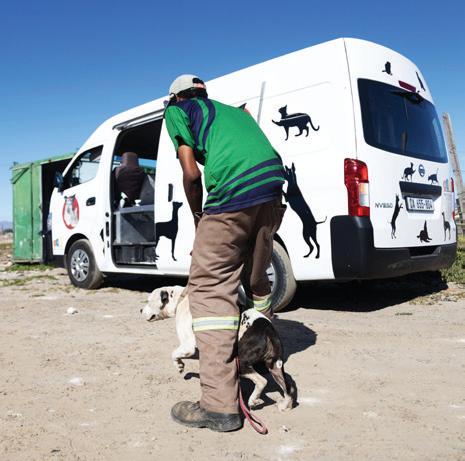 Animal rescue staff robbed & attacked in Philippi