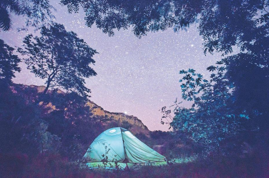 JOURNEY INTO THE STARS The noctourism trend transforming African adventures